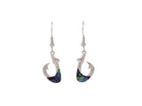 Paua Hook Earrings