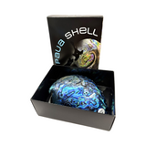 Whole NZ Polished Paua Shell A Grade